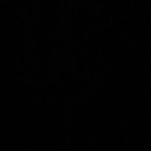 Meet your Posher, Lailani